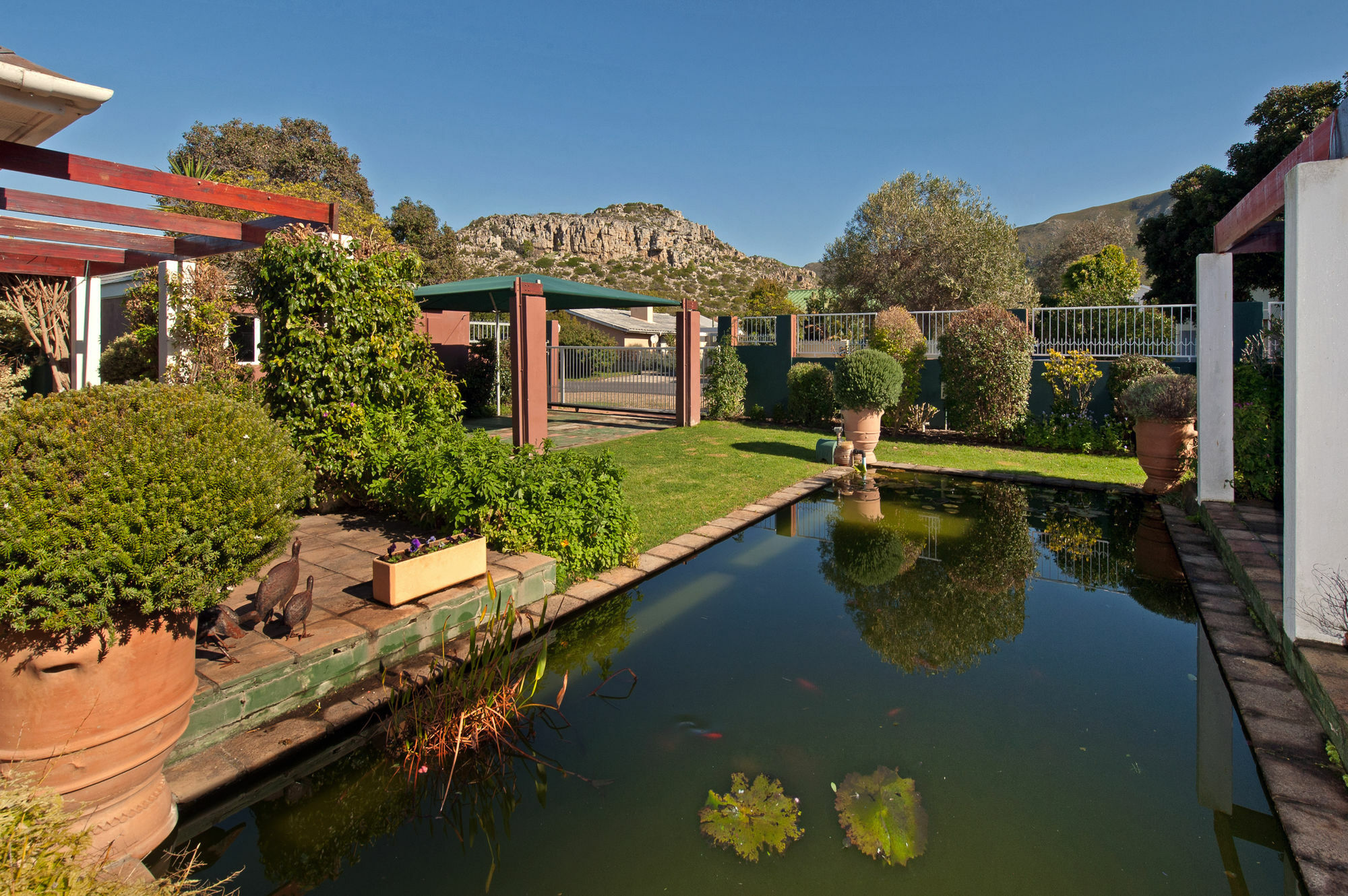 Brown Jug Guest House Hermanus Exterior photo